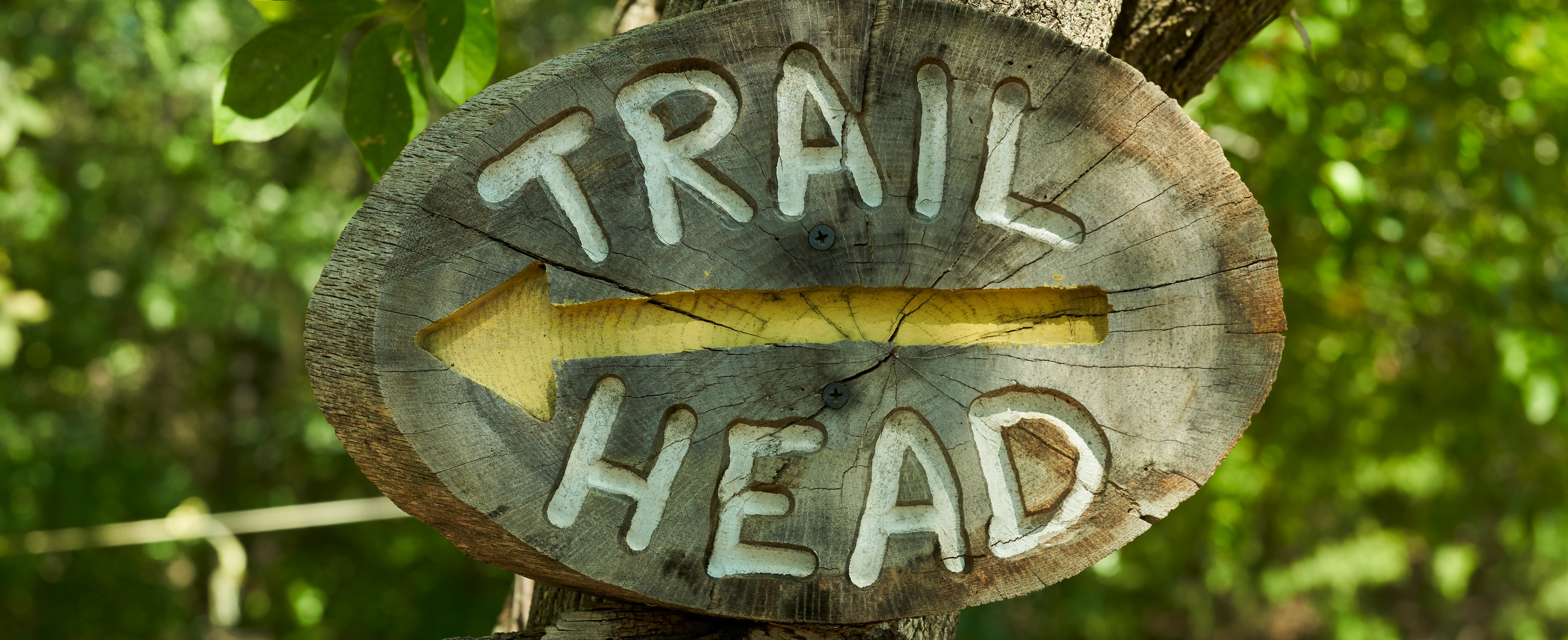 Are You Ready to Take a Hike? Here's How to Stay Safe.